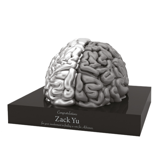 2 tone 3D printed brain on base (Zack Yu)